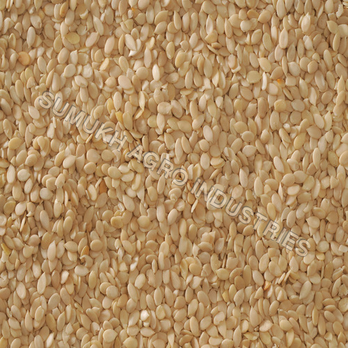 Water Melon Kernel Seeds