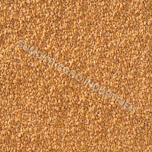 Fenugreek Seeds