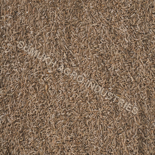 Cumin Seeds
