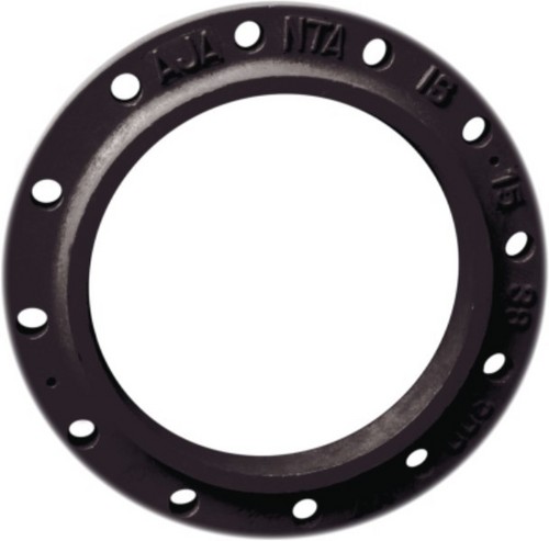 Cast Iron Flanges