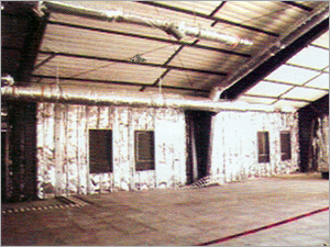 Reflective Insulation Membrane
