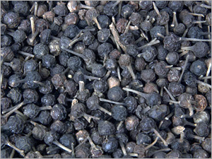 Black Pepper Seeds