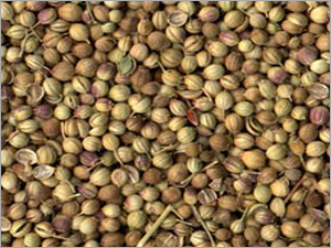 Coriander Seed