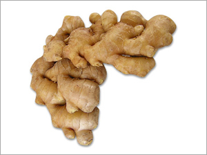 Ginger