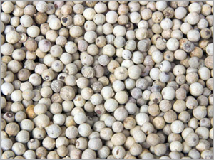 White Pepper