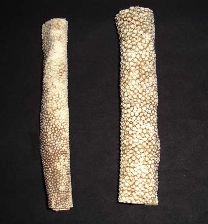 Fish Skin Roll