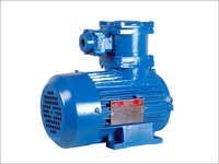 Industrial FLP Motor