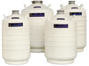 Cryo Vessel
