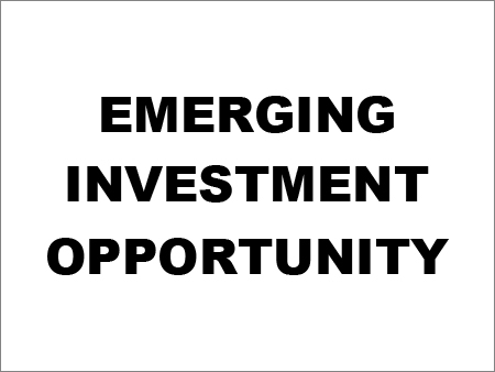 Emerging Investment Opportunity