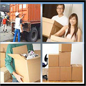 Packers Services