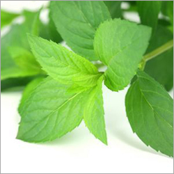 Agro Products & Commodities