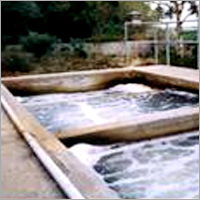 Sewage Treatment Plant