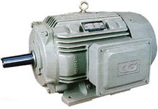 LT Motors