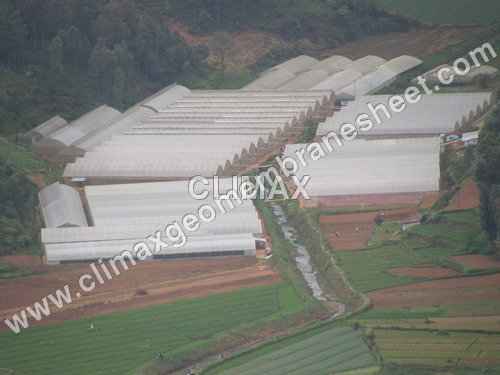 Greenhouse Films By CLIMAX SYNTHETICS PVT. LTD.