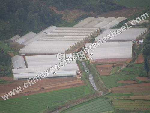 Greenhouse Films