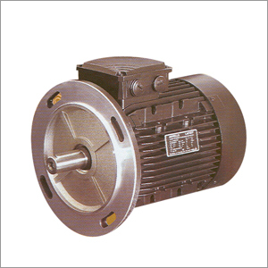 Electric Motor