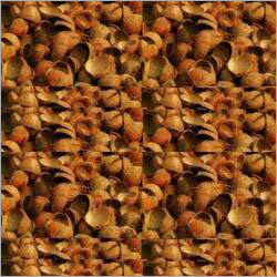 Coconut Shells