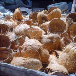 Natural Coconut Shells