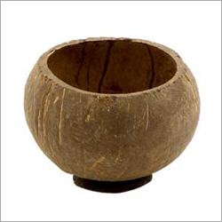 Single Coconut Shell