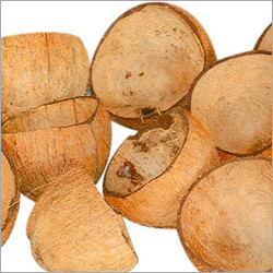 Raw Coconut Shell
