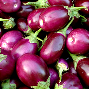 Brinjals