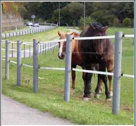Rail and Post Fence