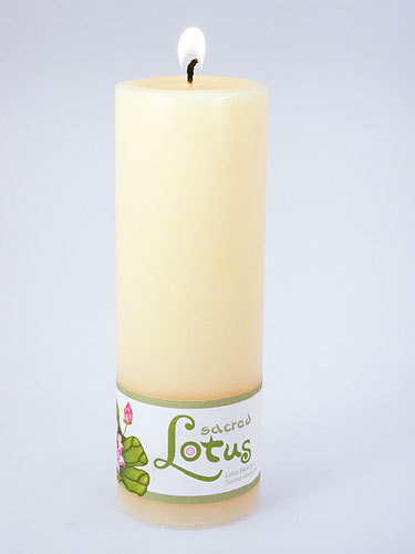 # # Wax Candles