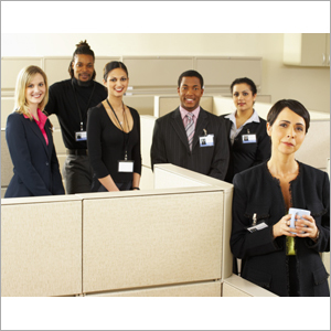 IT Consultancy