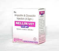 Ampicillin & Cloxacillin Injection