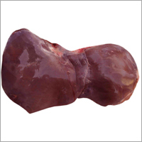 Liver