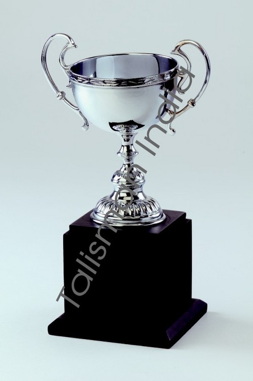 Metal Trophy Cups