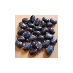 Mucuna Pruriens