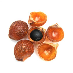 Sapindus Mukorossi