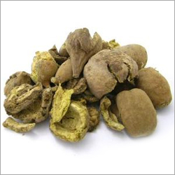 Terminalia Belerica