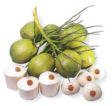 FRESH COCONUT