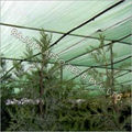 Agro Green Shade Nets