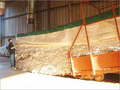 Raw Cotton & Cotton Waste