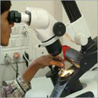 Mobile Lab By D For Diamond