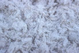 Asbestos Fibre