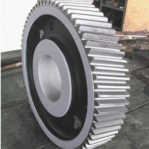 Oil Expeller Gears