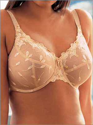 Cotton Embroidered Lingerie