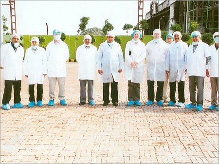 Audit Team