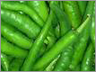 Green Chilly