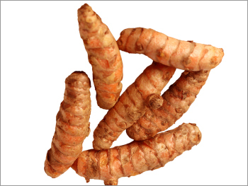 Turmeric Root