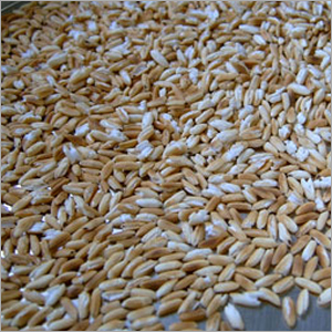 Roasted Rice