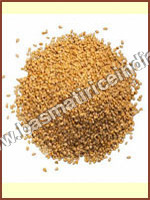 Sesame (Til)