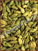 Cardamom (Elaichi)