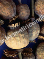 Poppy Seeds (Khus Khus)