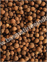 Allspice (Kabachini)