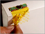 Holographic Labels
